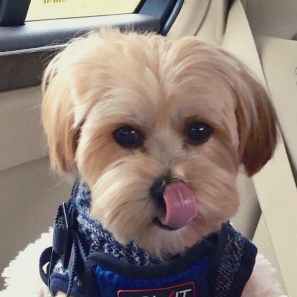 ❤️ - Picture 9 of 14